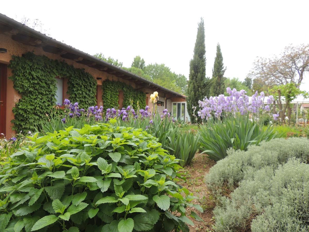 Resort Villa Manin Passariano Buitenkant foto